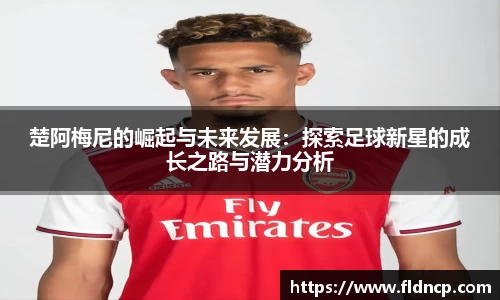 emc易倍体育官方网站